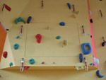 Projekt Eferding Kletterwand