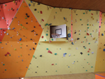 Projekt Eferding Kletterwand